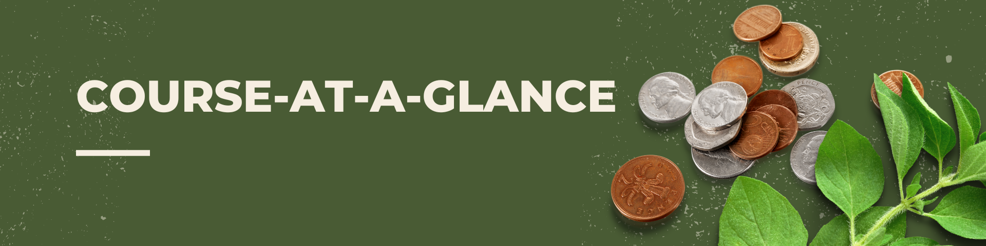 Banner reads course at a glance